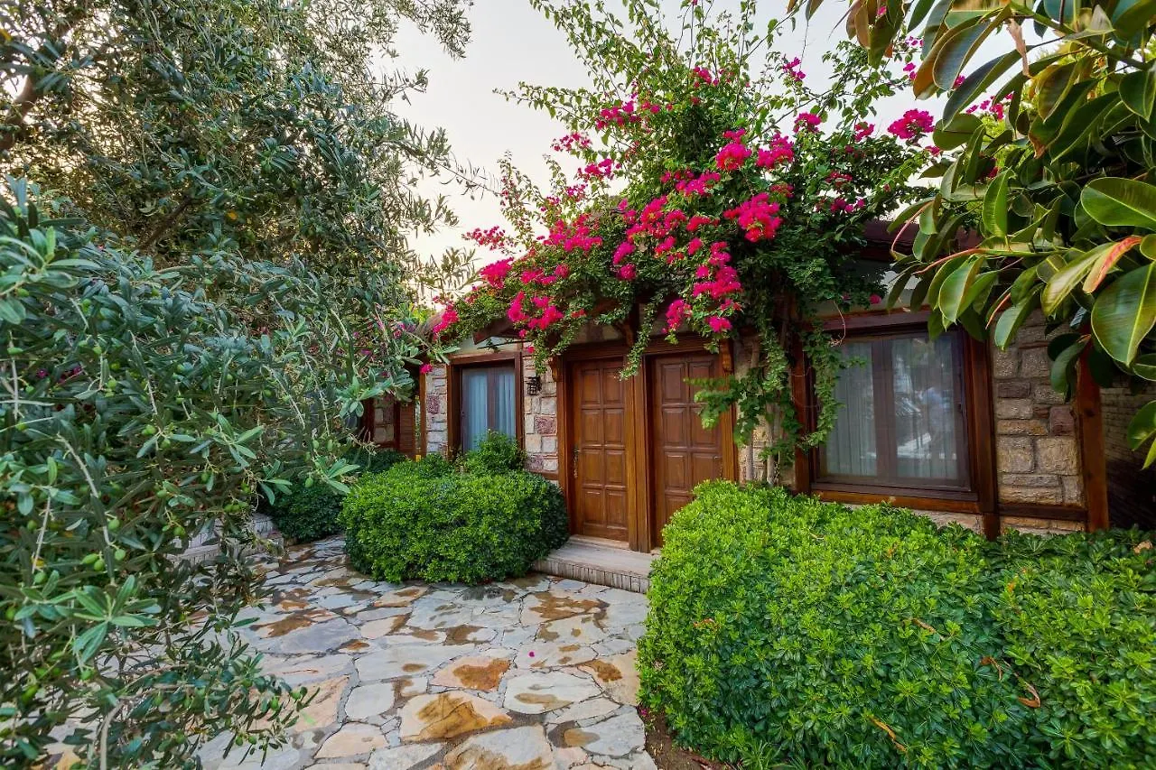 *** Hotel Luna Begonvil Tas Evler Selimiye  Turkey